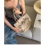 CH 24 COCO 비치 스트로 쇼핑백