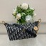 diorstar 3202