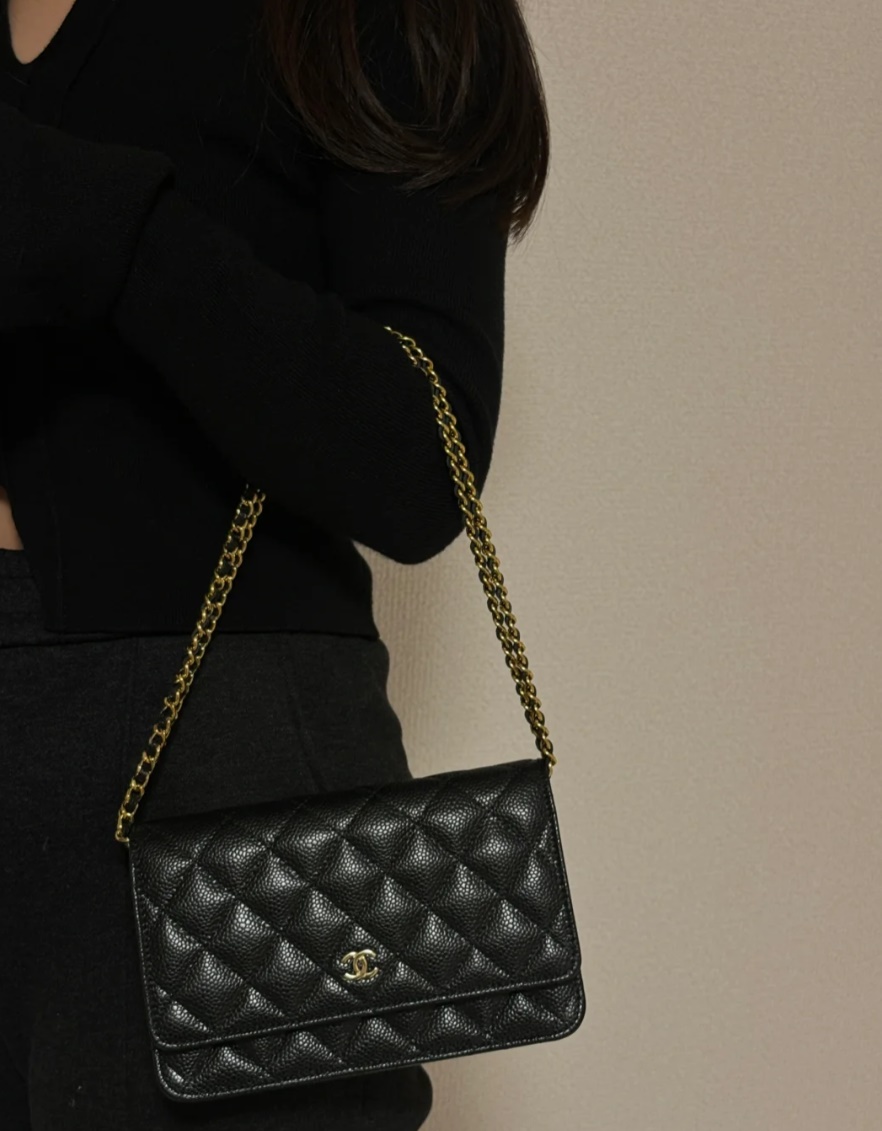 CHANEL WOC BAG (+Premium)