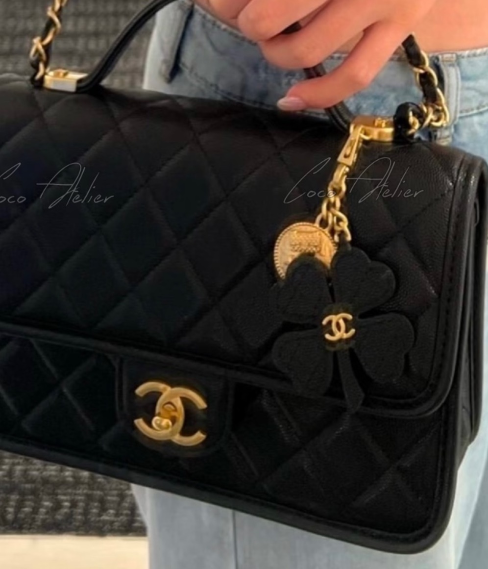 CHANEL 샤넬 25b backpack