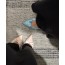 CHANEL 샤넬 cc 로고 새틴 플랫