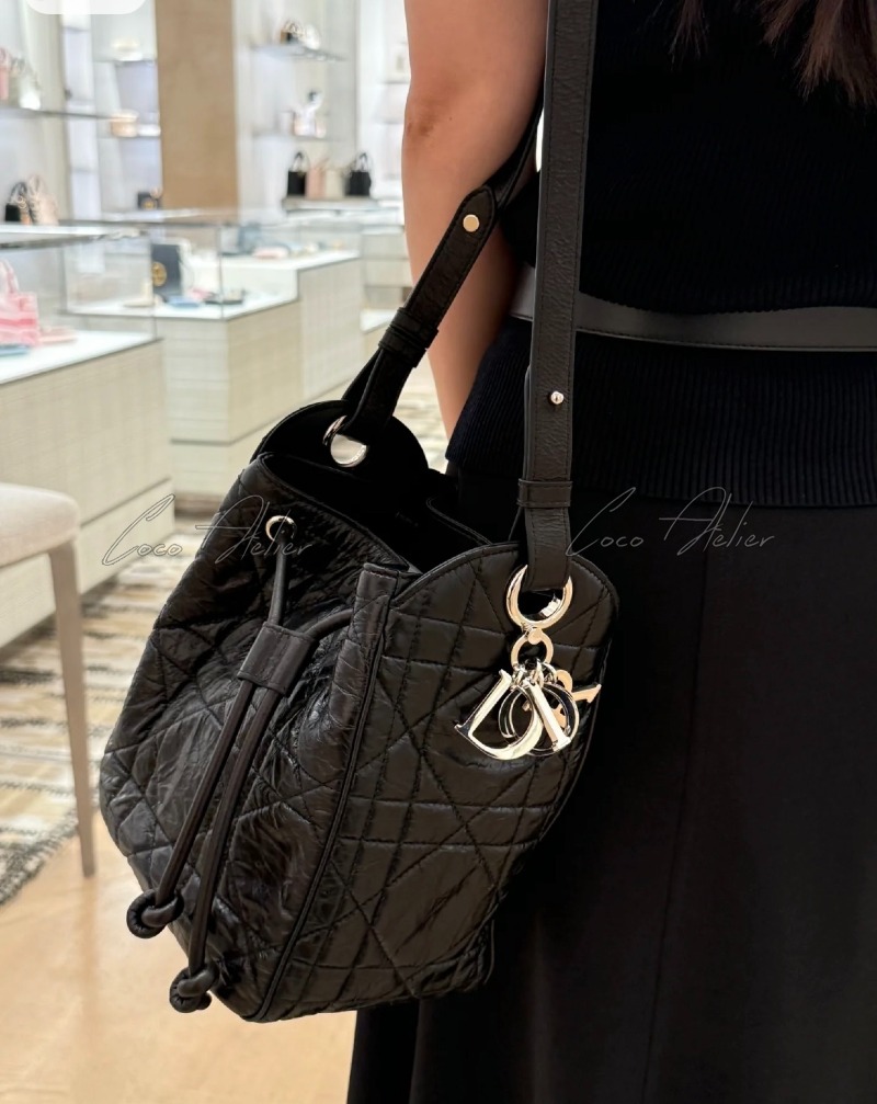 Dior디올 디모션백