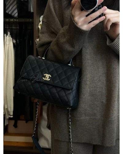 Coco handbag