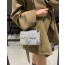 CF Silver Chain bag